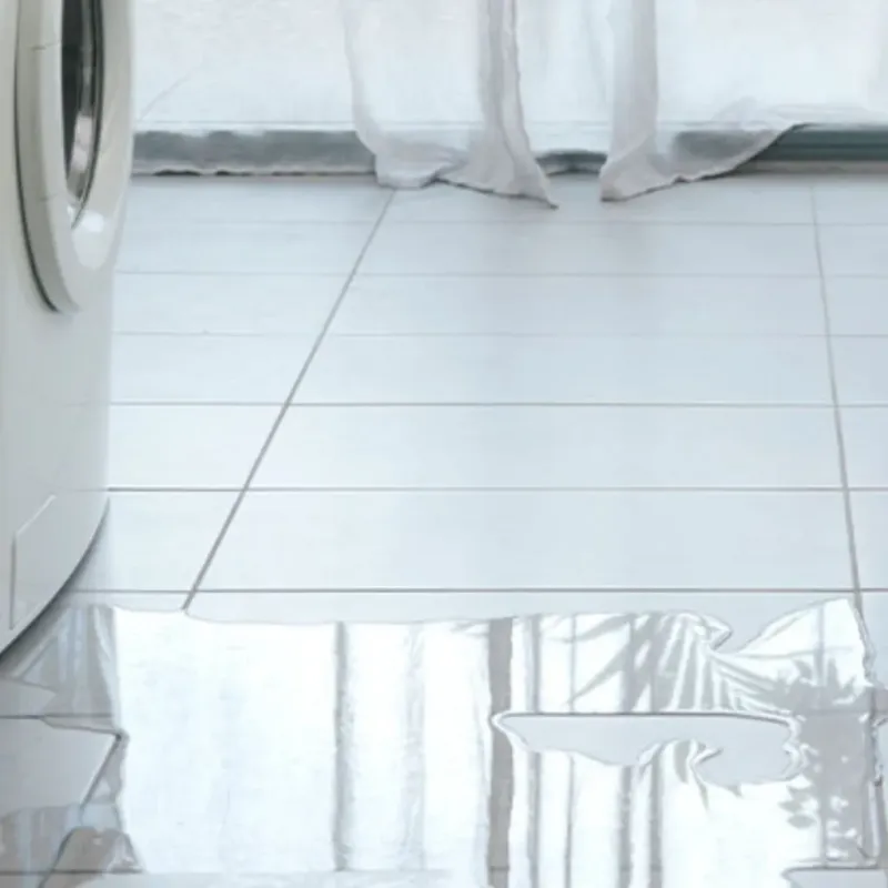 Appliance Leak Cleanup in Holiday, FL