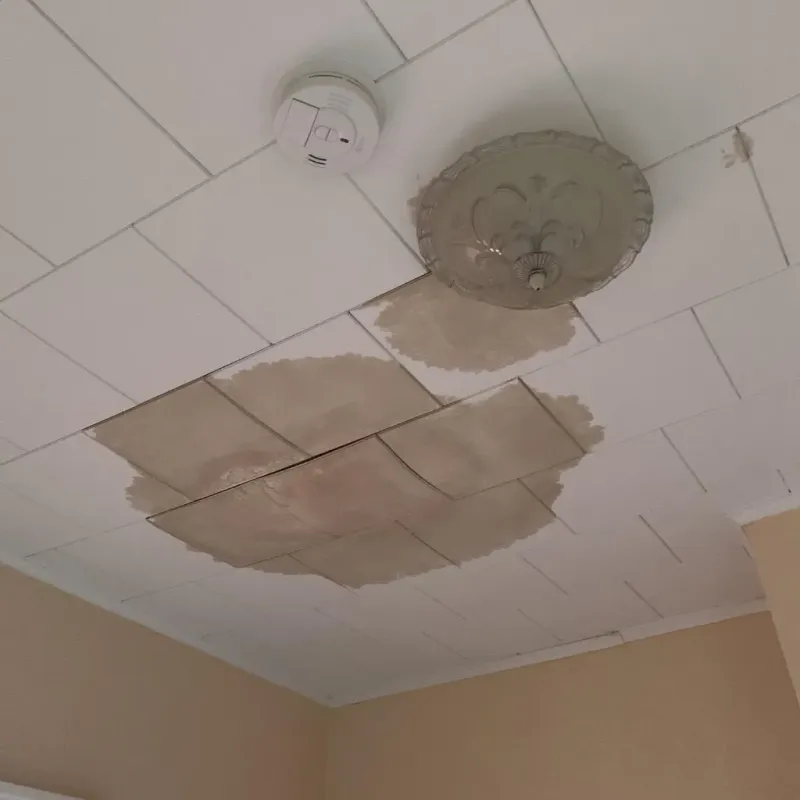 Ceiling Water Damage Repair in Holiday, FL